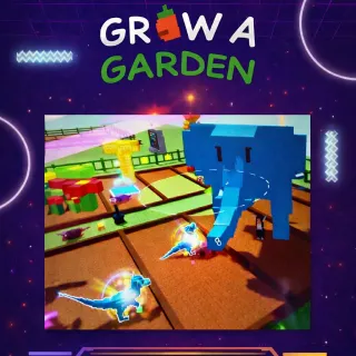 Pet Boosting Service - 60/61 kg