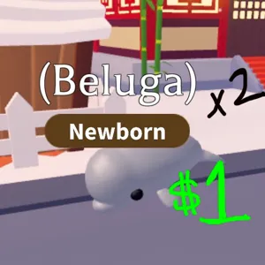 Beluga Whale (2 total)