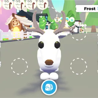 Arctic Reindeer (1)