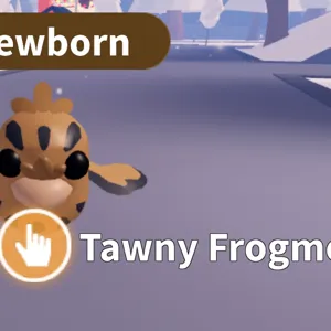 Tawny Frogmouth(1 total)