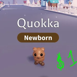 Quokka (1 total)