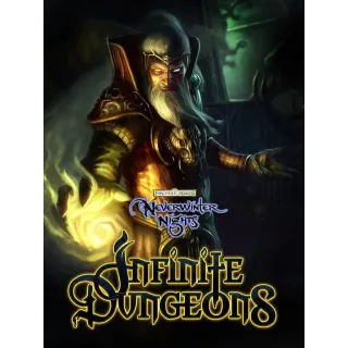 Neverwinter Nights: Infinite Dungeons