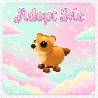 Groundhog - Adopt Me