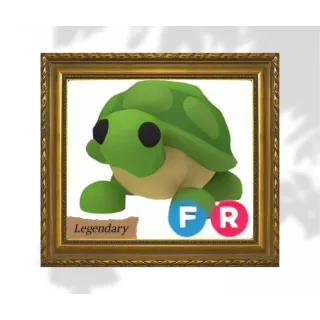 Turtle FR + 3 Random pets