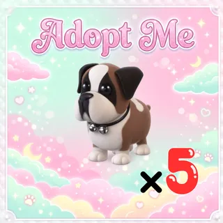 5x St Bernard - Adopt Me