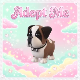 St Bernard - Adopt Me