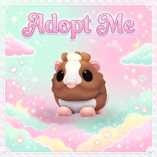 Chocolate Dutch Guinea Pig