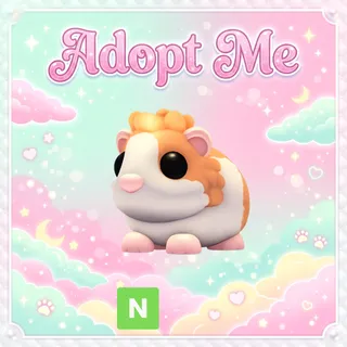 Neon Red Dutch Guinea Pig - Adopt Me