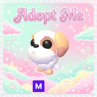 Mega Shih Tzu - Adopt Me