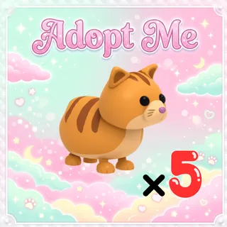 5x Ginger Cat - Adopt Me