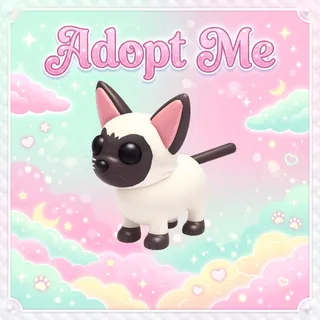 Siamese Cat - Adopt Me