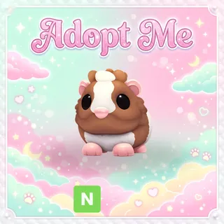 Chocolate Dutch Guinea Pig Neon