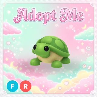 Turtle FR - Adopt Me