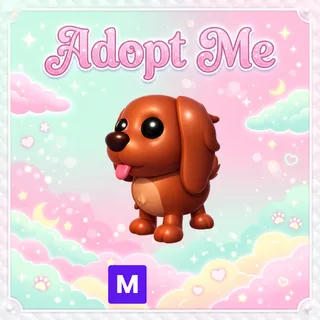 Mega Irish Setter - Adopt Me