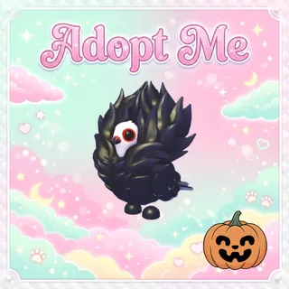 Jacobin Pigeon