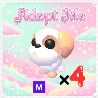 4x Mega Shih Tzu - Adopt Me