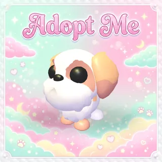 Shih Tzu Mega - Adopt Me