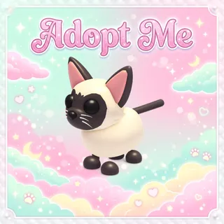 Siamese Cat - Adopt Me