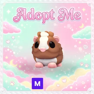MEGA Chocolate Dutch Guinea Pig