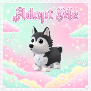 Husky - Adopt Me