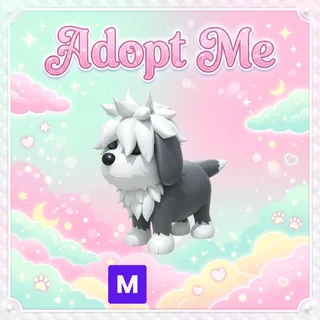 Mega English Sheepdog - Adopt Me