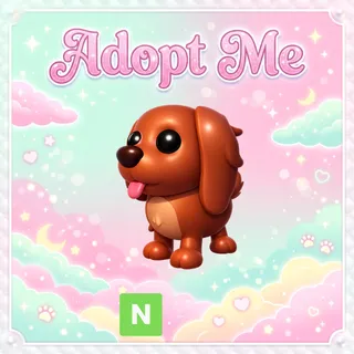 Neon Irish Setter - Adopt Me