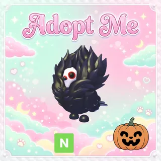 Neon Jacobin Pigeon