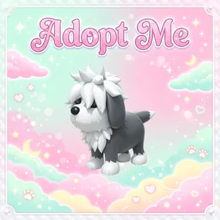 English Sheepdog - Adopt Me