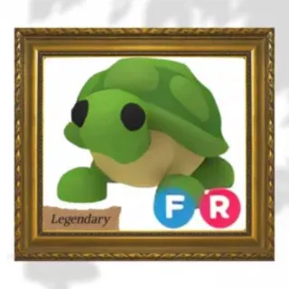 Adopt Me FR Turtle