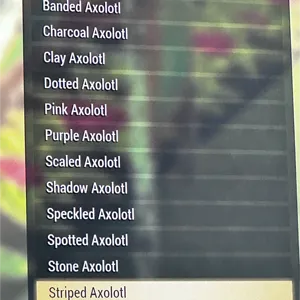 Axolotl set