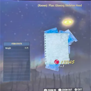 glowing skeleton costume