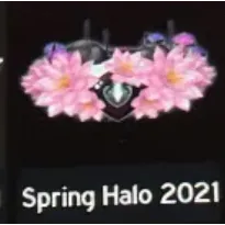 Spring 2021 Halo