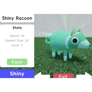 Pet | Shiny Racoon