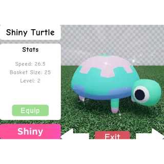 Pet | Shiny Turtle