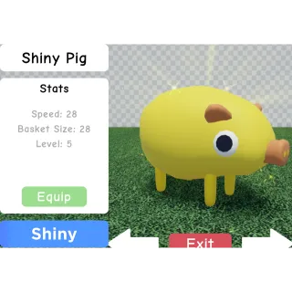 Pet | Shiny Pig