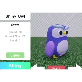 Pet | Shiny Owl