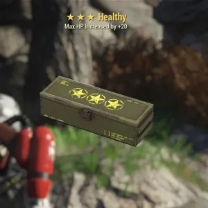 5x healthy mod