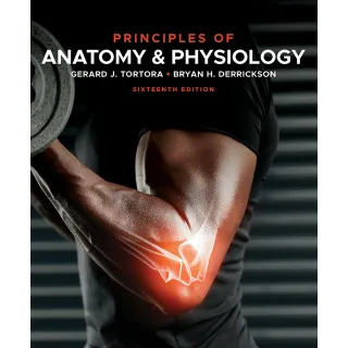 Principles of Anatomy and Physiology 16th Edition 