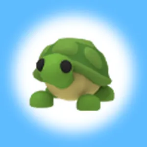 R TURTLE