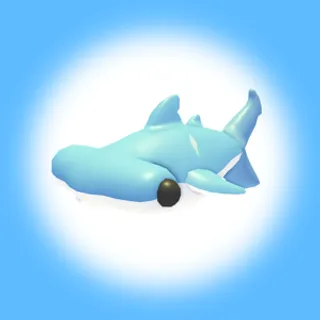 MR HAMMERHEAD SHARK