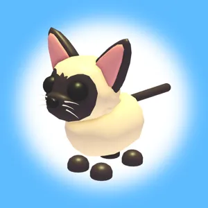 NEON SIAMESE CAT