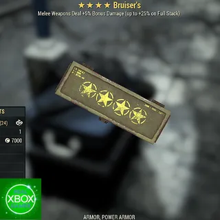 10 Bruiser's MOD