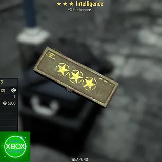 Intelligence MOD 