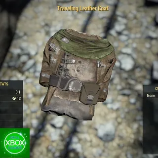 Traveling Leather coat