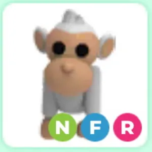 NEON RF ALBINO MONKEY