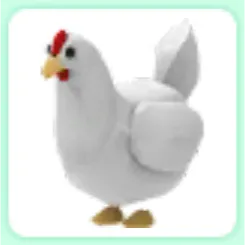 CHICKEN
