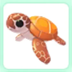 SEA TURTLE ADOPT ME