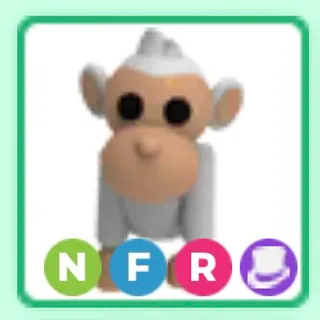 NRF ALBINO MONKEY