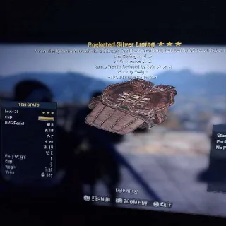 Pocketed Silver Lining