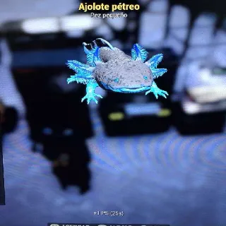 Petrified Axolotl